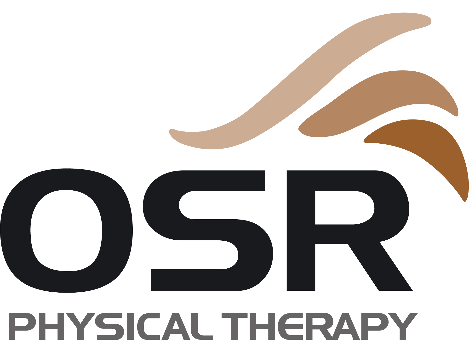 OSR Logo