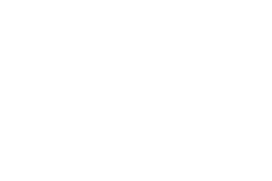 OSR Logo swish element